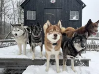 processed/60234780-3dbb-4c4e-9899-ebd46a1abb44/facility/f99e1d51-9486-4bbe-820f-a6ef0bf29f42