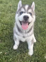 processed/60234780-3dbb-4c4e-9899-ebd46a1abb44/facility/f9dc66e2-ca1b-493e-a981-005f62658ed0