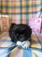 processed/6024a5a1-01fc-490e-ad09-ea1d892f147a/listing/1a364f4a-b214-45b9-bebb-c393c293a11f/260dfa88-5147-429e-baf1-2ae807ce1552