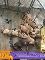 Facility photo