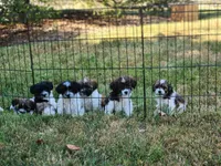 processed/602872e2-6223-4f16-a4a0-c55466686f92/facility/0fc84cfe-f5df-48f8-835a-578df858608c