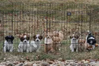 processed/602872e2-6223-4f16-a4a0-c55466686f92/facility/9247e1a2-328d-4c85-9250-b4fd0807cfa9