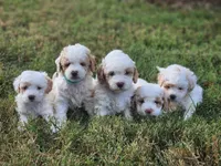 processed/602872e2-6223-4f16-a4a0-c55466686f92/facility/cce12d98-8753-4bfd-b0c1-2ee08931abec