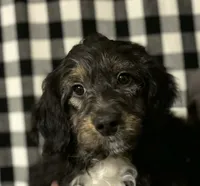 processed/6034cfc1-6f27-4e9f-b16b-bd0817169e5e/listing/00c29f3f-d5d2-4728-a9ff-21764bdccbcf/6730ee76-ed2b-4ac1-8407-0e12de51f6f2