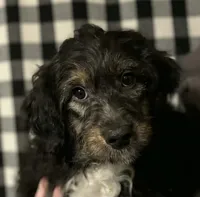 processed/6034cfc1-6f27-4e9f-b16b-bd0817169e5e/listing/00c29f3f-d5d2-4728-a9ff-21764bdccbcf/eb54231e-bc04-45b0-8f63-ea4af694543a