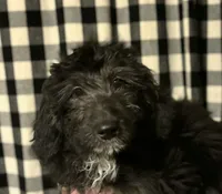 processed/6034cfc1-6f27-4e9f-b16b-bd0817169e5e/listing/852391b7-c706-4597-b855-33d8d8f9887e/5221cdb8-ec19-4119-b336-492c6a4c5fb8