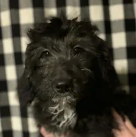 processed/6034cfc1-6f27-4e9f-b16b-bd0817169e5e/listing/852391b7-c706-4597-b855-33d8d8f9887e/fbe865a6-ab5b-482b-b26d-0be1de551f47