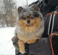 processed/6036ef8b-52c5-42cc-b383-f71422f66348/facility/253d90e5-71e9-4272-9c45-5b73e4a1e950