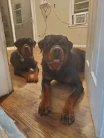 processed/6036ef8b-52c5-42cc-b383-f71422f66348/facility/30385ee9-589f-40b6-9140-2c13070fc866