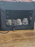 processed/6036ef8b-52c5-42cc-b383-f71422f66348/facility/45667095-03bc-466d-9a74-956364c9867a