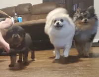 processed/6036ef8b-52c5-42cc-b383-f71422f66348/facility/5f624012-2b4f-4611-803f-12c18f920bfe