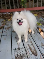 processed/6036ef8b-52c5-42cc-b383-f71422f66348/facility/7374423c-3491-4255-9aef-0353302ae293