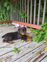 processed/6036ef8b-52c5-42cc-b383-f71422f66348/facility/82454be8-54b1-4a75-9399-25055abdacda