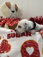 processed/6062a1ba-4f50-477d-bba4-26ab480e487c/listing/05aafccd-0c3c-4829-8028-c5c6d06c45c9/25b38c72-9b95-4f07-a49c-713cfdb17366