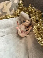 processed/6062a1ba-4f50-477d-bba4-26ab480e487c/listing/05aafccd-0c3c-4829-8028-c5c6d06c45c9/83b2ef19-114c-45f1-8cb3-d6abdbd452c2