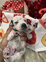 processed/6062a1ba-4f50-477d-bba4-26ab480e487c/listing/05aafccd-0c3c-4829-8028-c5c6d06c45c9/bcdaa1b1-ecf8-45d8-b85f-215b4c20d874