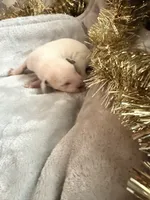 processed/6062a1ba-4f50-477d-bba4-26ab480e487c/listing/0bf68e86-c052-4268-b0dc-1e3e894746a6/0af958ff-24a0-4a42-a276-a334dc878207