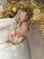 processed/6062a1ba-4f50-477d-bba4-26ab480e487c/listing/0bf68e86-c052-4268-b0dc-1e3e894746a6/7d360524-0efe-4399-8402-528b0573875b