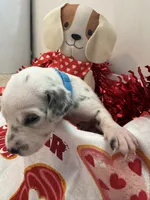 processed/6062a1ba-4f50-477d-bba4-26ab480e487c/listing/0bf68e86-c052-4268-b0dc-1e3e894746a6/9a35876a-abb6-45a0-a30d-adc62d251ad0