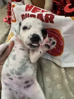 processed/6062a1ba-4f50-477d-bba4-26ab480e487c/listing/30513db0-5228-4aeb-91d4-ea145138fdea/94b6785c-5bdb-4bed-8be9-81471e329891