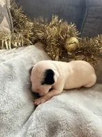 processed/6062a1ba-4f50-477d-bba4-26ab480e487c/listing/30513db0-5228-4aeb-91d4-ea145138fdea/9ecd4d30-a5ca-41b9-a083-d5b84ee58d43