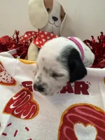 processed/6062a1ba-4f50-477d-bba4-26ab480e487c/listing/7ffa83d4-db3b-42c6-9cd7-6e95c6301267/aec6a240-8ef7-46d6-ae91-3073b38f09a9