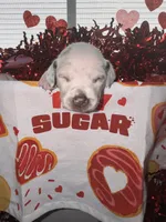 processed/6062a1ba-4f50-477d-bba4-26ab480e487c/listing/92d992dc-cadf-456e-b672-33d49e7b194d/01f0f692-1258-44f8-878c-ebb92ccf4ce5