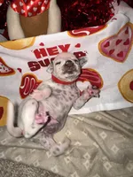 processed/6062a1ba-4f50-477d-bba4-26ab480e487c/listing/92d992dc-cadf-456e-b672-33d49e7b194d/b2a8a4e7-af4b-49cb-b9a2-c6e3fb4c8ffd