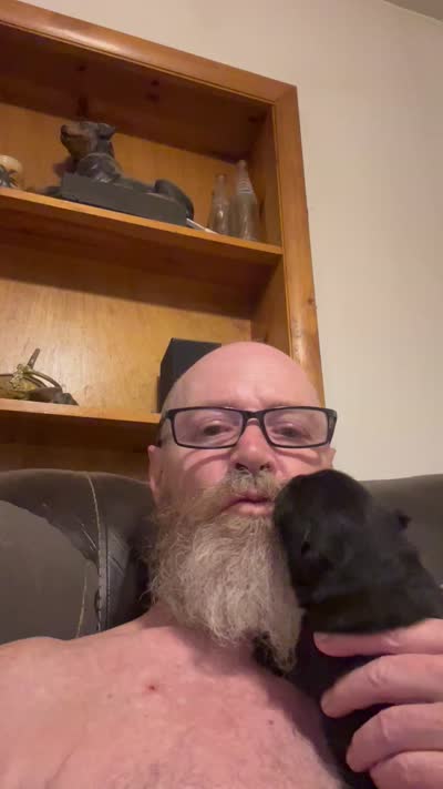 Number two  new video central Pa, a female Chow Chow for sale in Huntingdon, PA – 7 of 10