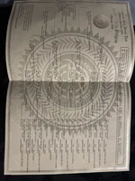 Luna, a female American Bully for sale in Des Moines, IA – Photo 10 of 10