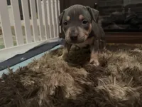 processed/606e921d-194a-49a6-93c1-e2e1b57c82a2/listing/fb24abf2-cc99-4062-bfdf-6ea4a5aafb65/4eb33fae-b0af-4df0-a038-2ce031d8aae5