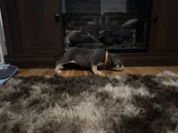 processed/606e921d-194a-49a6-93c1-e2e1b57c82a2/listing/fb24abf2-cc99-4062-bfdf-6ea4a5aafb65/5895b0f9-1987-4991-b8ad-5e5e79ff44bb