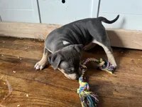 processed/606e921d-194a-49a6-93c1-e2e1b57c82a2/listing/fb24abf2-cc99-4062-bfdf-6ea4a5aafb65/82514c79-0d99-4391-a213-10bd71d1683c