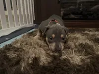 processed/606e921d-194a-49a6-93c1-e2e1b57c82a2/listing/fb24abf2-cc99-4062-bfdf-6ea4a5aafb65/f7ba0e41-1c6c-474e-8bf1-8da75ec88c0f