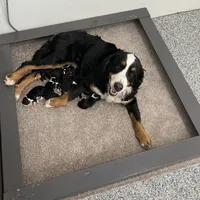 processed/60702b10-24a9-4717-a9bb-a7ba928062a2/facility/7fd7916b-7c0e-44cb-b0d2-ec803a5c2975