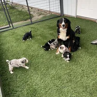 processed/60702b10-24a9-4717-a9bb-a7ba928062a2/facility/95924973-51b8-4115-aac6-65adce03116d