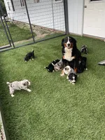 processed/60702b10-24a9-4717-a9bb-a7ba928062a2/facility/95924973-51b8-4115-aac6-65adce03116d