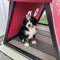 processed/60702b10-24a9-4717-a9bb-a7ba928062a2/facility/ad7e0cca-3a73-4372-8375-55390ed1edc1