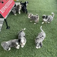 processed/60702b10-24a9-4717-a9bb-a7ba928062a2/facility/c90c5a1f-6a14-4a17-b031-3b459faf5ca8