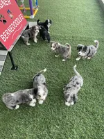 processed/60702b10-24a9-4717-a9bb-a7ba928062a2/facility/c90c5a1f-6a14-4a17-b031-3b459faf5ca8