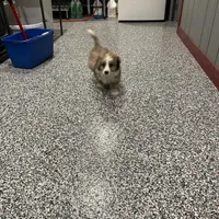 processed/60702b10-24a9-4717-a9bb-a7ba928062a2/facility/dad43fb5-ba4b-453c-b30c-db1096245f79