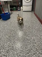 processed/60702b10-24a9-4717-a9bb-a7ba928062a2/facility/dad43fb5-ba4b-453c-b30c-db1096245f79