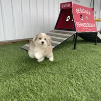 processed/60702b10-24a9-4717-a9bb-a7ba928062a2/facility/ef9851ba-2618-484a-9ce4-3a8dc7a7dcf9