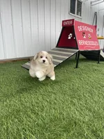 processed/60702b10-24a9-4717-a9bb-a7ba928062a2/facility/ef9851ba-2618-484a-9ce4-3a8dc7a7dcf9