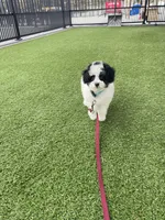 processed/60702b10-24a9-4717-a9bb-a7ba928062a2/listing/3efbffb4-8283-4379-8ab9-40464f7077d3/0f8db624-5f1d-4192-b534-63bd715564ca