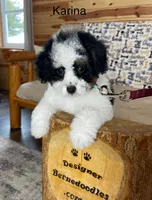 processed/60702b10-24a9-4717-a9bb-a7ba928062a2/listing/3efbffb4-8283-4379-8ab9-40464f7077d3/22713e5d-5013-42f1-b656-ee2a216cc66d