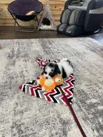 processed/60702b10-24a9-4717-a9bb-a7ba928062a2/listing/3efbffb4-8283-4379-8ab9-40464f7077d3/5709994a-c7ca-48d1-ae2a-f388360c047d