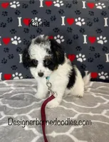 processed/60702b10-24a9-4717-a9bb-a7ba928062a2/listing/3efbffb4-8283-4379-8ab9-40464f7077d3/c409f20c-fa40-40b0-8434-28a625d2db15