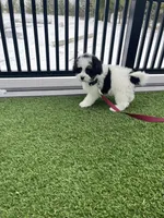 processed/60702b10-24a9-4717-a9bb-a7ba928062a2/listing/3efbffb4-8283-4379-8ab9-40464f7077d3/f7423d3d-dad5-48eb-bb47-b7a546b89271