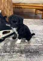 processed/60702b10-24a9-4717-a9bb-a7ba928062a2/listing/46ac4908-2cc1-4b3a-8222-b89a201a88b5/7e6f49fd-ebc4-4ee7-9375-64ddc419647d